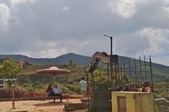 ಮಗಳ ಪ್ರಶ್ನೆಗೆ ದಣಿವಿಲ್ಲದ ಉತ್ತರ… ಇಂತವರು ಇರುತಾರೆ!!? (ಒಂದು ಲೇಖನ)