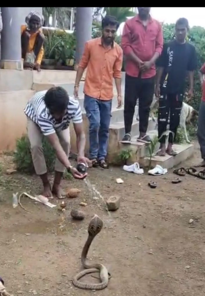 ಮನೆಗೆ ಬಂದ ನಾಗರಹಾವು ಕಾಯಿ ಒಡೆದು ಪೂಜೆ ಸಲ್ಲಿಸಿದ ಜನ