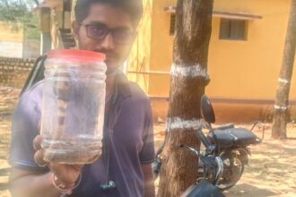 ಹಾವು ಕಂಡರೆ ಹಿಡಿಯುವ ಶಿವನಗೌಡ ೩೦೦ಕ್ಕೂ ಹೆಚ್ಚುಹಾವು ರಕ್ಷಣೆ